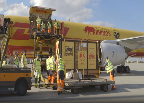 100 kg DDP Worldwide Express Courier Service
