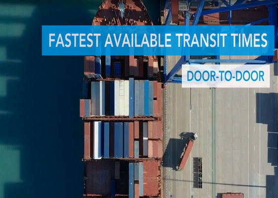 Tijdens de volledige containerlading Zeevracht DDP Wereldwijde zeevracht