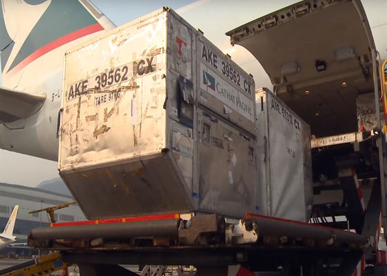 Guangzhou naar Worldwide Global Ocean Freight FCL Volledig Container Transport