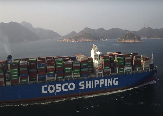 25-30 dagen Wereldwijd Door tot deur Overzeese verzending DDP Freight Forwarding