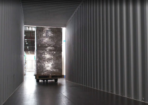 Logistiek DDP DDU Ocean Shipping Worldwide Delivery Door to Door Service
